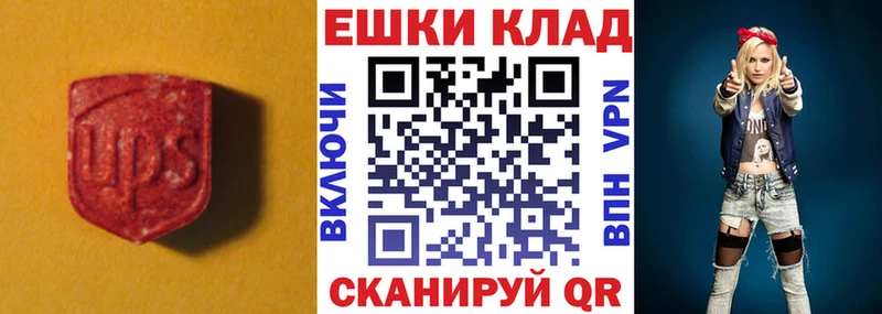 Купить закладки  Петровск-Забайкальский  Экстази ешки 