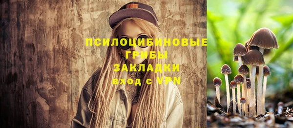 синтетический гашиш Краснослободск