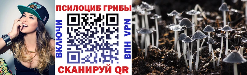 Галлюциногенные грибы Magic Shrooms  Купить закладки  Петровск-Забайкальский 
